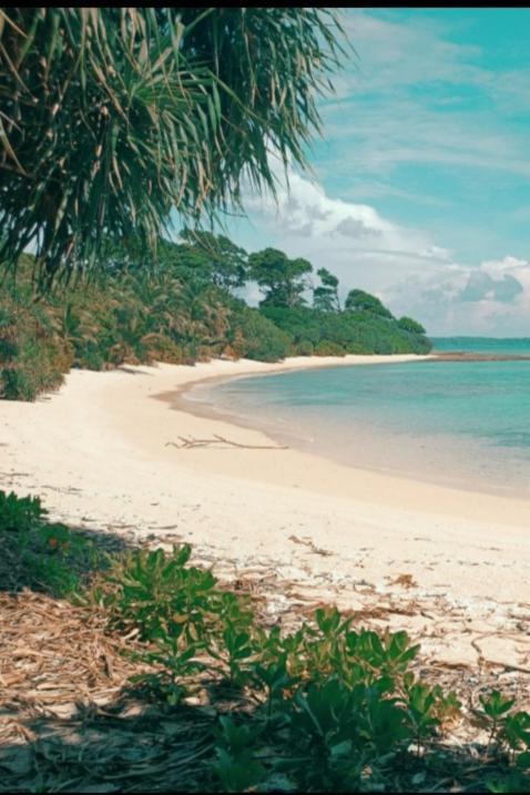 Mallick Palace Neil Island South Andaman Hotel Ram Nagar Exterior foto